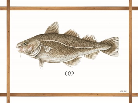 Cod on White by Cindy Jacobs art print