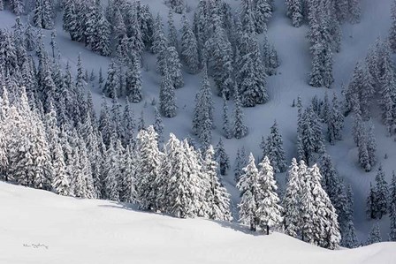 North Cascades in Winter III by Alan Majchrowicz art print