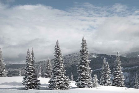North Cascades in Winter II by Alan Majchrowicz art print