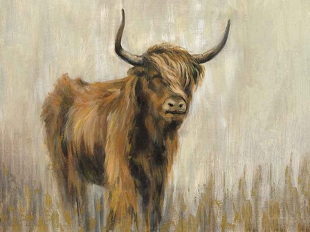 Highland Mountain Cow by Silvia Vassileva art print