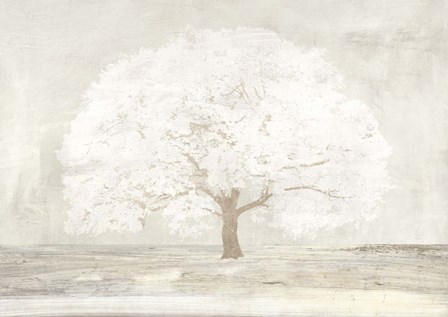 Pale Tree by Alessio Aprile art print
