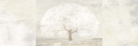 Pale Tree Panel by Alessio Aprile art print
