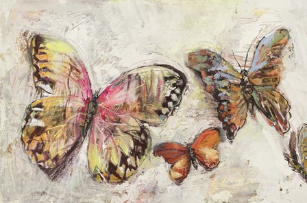 Farfalle in Volo II by Luigi Florio art print
