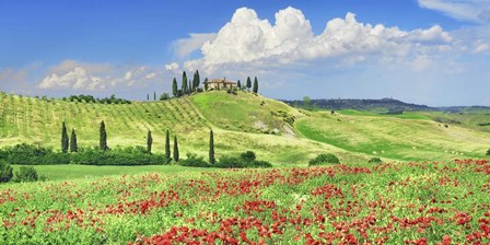 Farmhouse with Cypresses and Poppies, Val d&#39;Orcia, Tuscany by Frank Krahmer art print