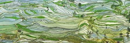 Rice Terraces, Yunnan, China by Frank Krahmer art print
