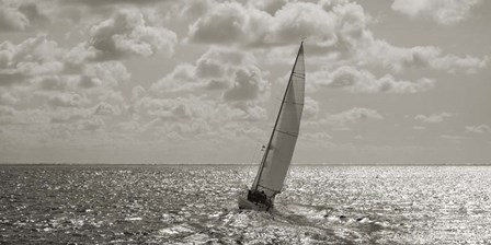 Sailing (detail) by Pangea Images art print