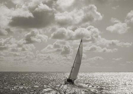 Sailing by Pangea Images art print