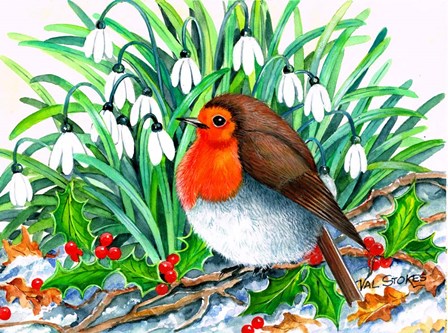 Christmas Robin by Val Stokes art print