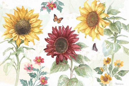 Sunflower Splendor IV by Beth Grove art print