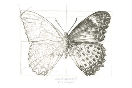 Butterfly Sketch landscape II by Kelsey Wilson art print