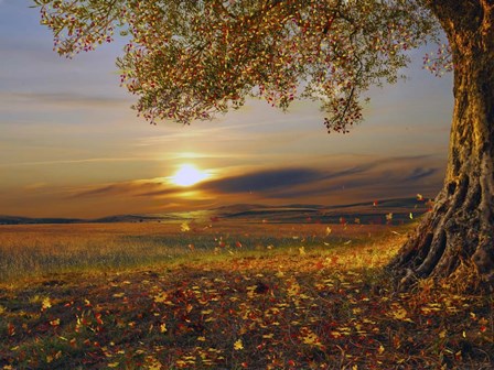 Sundown Tree by Ata Alishahi art print