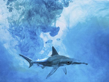 Sea Life 1 by Ata Alishahi art print