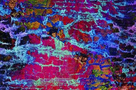 Colorful Bark 4 by Anita Vincze art print