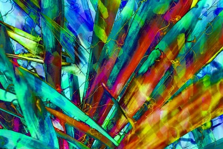 Colorful Foliage 7 by Anita Vincze art print