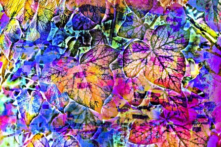 Rainbow Colors 14 by Anita Vincze art print