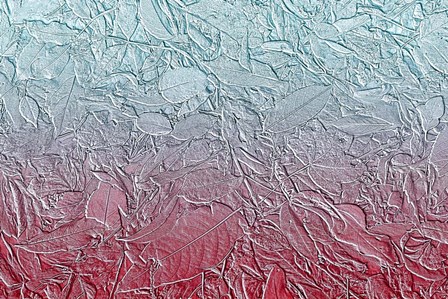 Leaves in Pastel Colors 14 by Anita Vincze art print