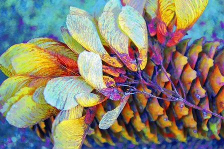 Nature in Rainbow Colors 8 by Anita Vincze art print