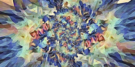 Reverse Floral Radial by David Manlove art print