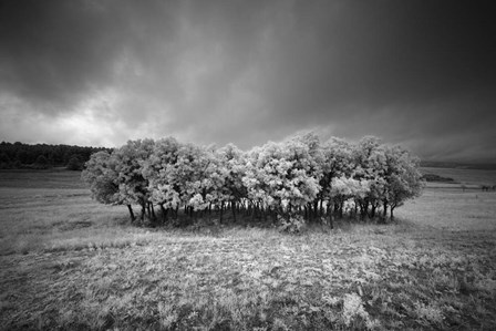 Atmospheres by Geoffrey Ansel Agrons art print