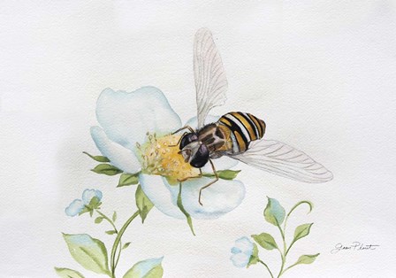 Bee In Watercolor by Jean Plout art print