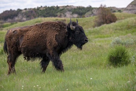 Enter the Badlands 3 by Gordon Semmens art print