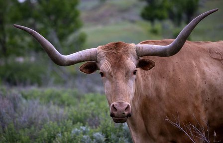 Enter the Badlands 5 by Gordon Semmens art print