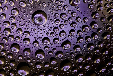 Window Drops 1 by Gordon Semmens art print