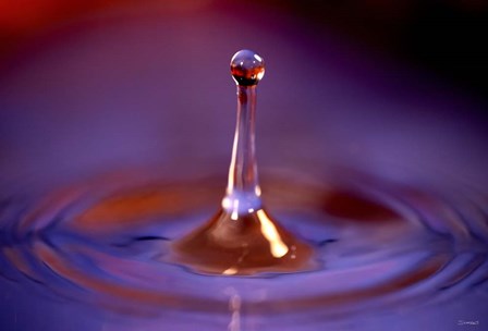 Drop Splash 2 by Gordon Semmens art print