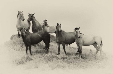 Badlands Antique 2 by Gordon Semmens art print