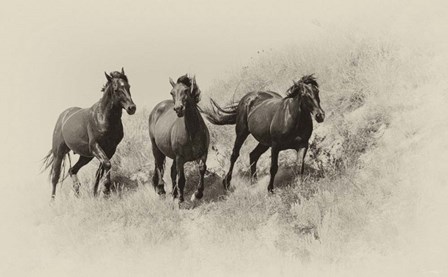 Badlands Antique 3 by Gordon Semmens art print