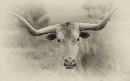 Badlands Antique 14 by Gordon Semmens art print