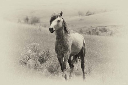 Badlands Antique 15 by Gordon Semmens art print