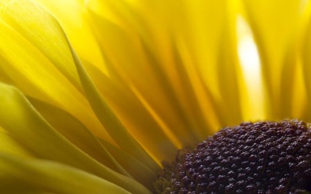 7 Ultra Macro by Gordon Semmens art print