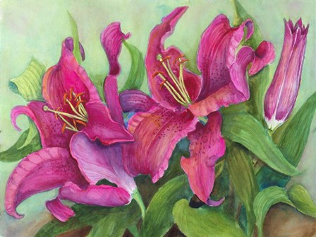 Vibrant Red Lilies by Joanne Porter art print