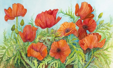 Poppies in a Field by Joanne Porter art print