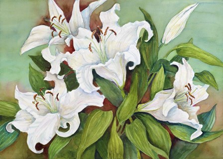 Casa Blanca Lilies by Joanne Porter art print