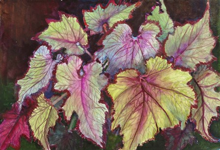 Jurassic Begonia by Joanne Porter art print