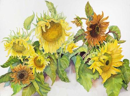 Gold and Bronze Sunflowers by Joanne Porter art print