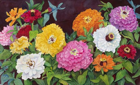 Zinnias in Many Colors by Joanne Porter art print