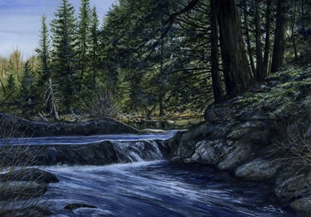 Sparkle Among the Fern by John Morrow art print