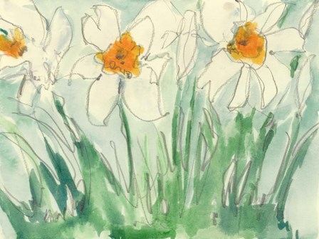 Daffodils Orange and White I by Sam Dixon art print