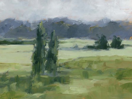 Misty Green Valley I by Ethan Harper art print