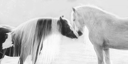 Collection of Horses III by PHBurchett art print