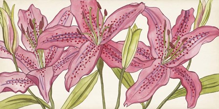Pink Lilies I by Melissa Wang art print