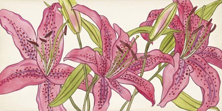 Pink Lilies II by Melissa Wang art print