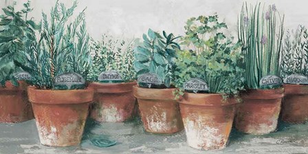 Pots of Herbs II Cottage by Carol Rowan art print