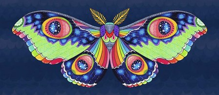 Midnight Rainbow Moth by Hello Angel art print