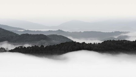 Rolling Fog, Smoky Mountains No. 2 by Nicholas Bell art print