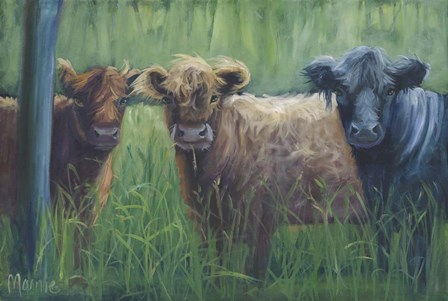 Windswept by Marnie Bourque art print