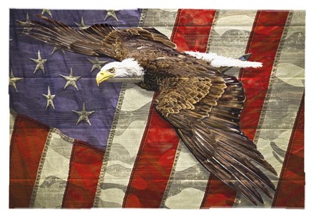 Eagle 2 by Old Red Truck art print